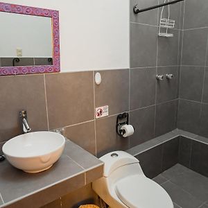 Habitación Superior con 2 Camas Individuales